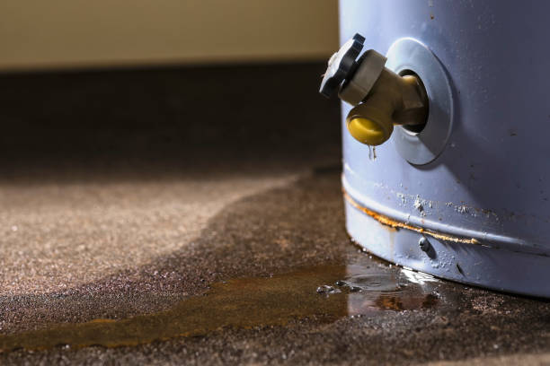Best Commercial water damage restoration  in West Burlington, IA