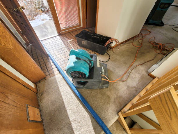 Best Water damage restoration mold remediation  in West Burlington, IA