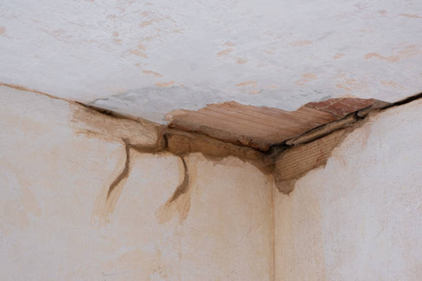Best Flood restoration services  in West Burlington, IA