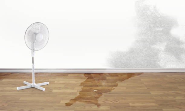 Best Flood damage cleanup  in West Burlington, IA