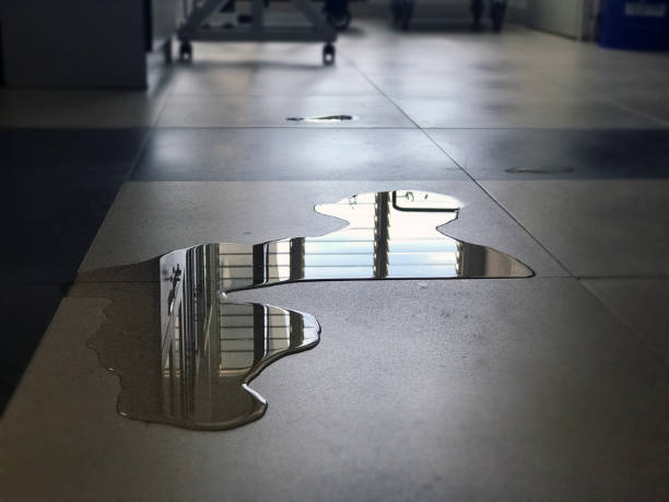 Carpet water damage restoration in IA
