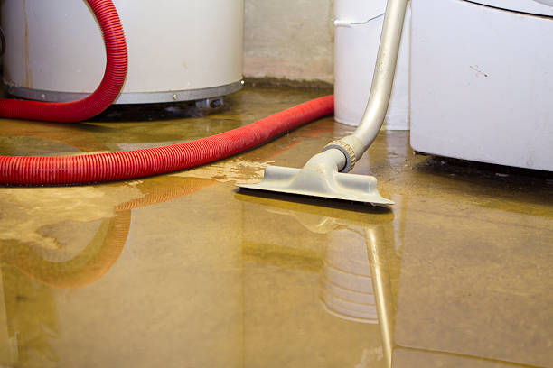Best Ceiling water damage repair  in West Burlington, IA