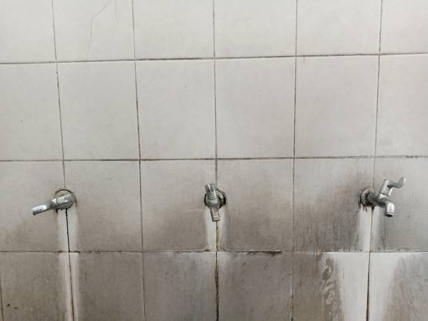 Best Carpet water damage restoration  in West Burlington, IA