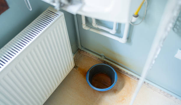 Best Fire Damage Restoration  in West Burlington, IA