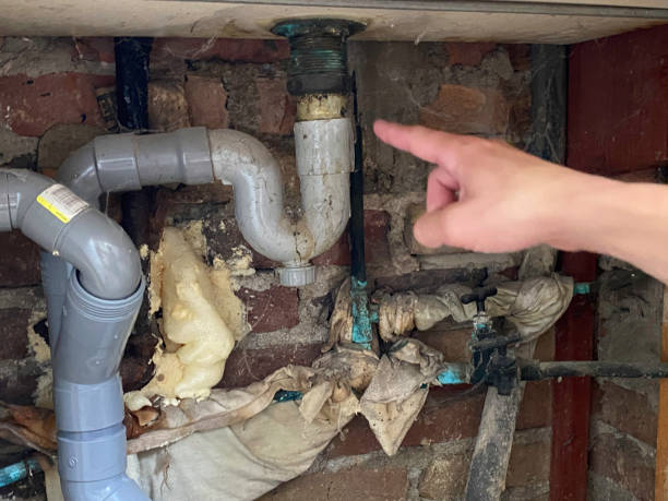 Best Water damage contractors near me  in West Burlington, IA